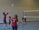 s DSC 0221