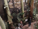 kohlewelt02